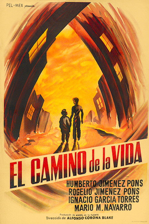 The Road of Life Poster