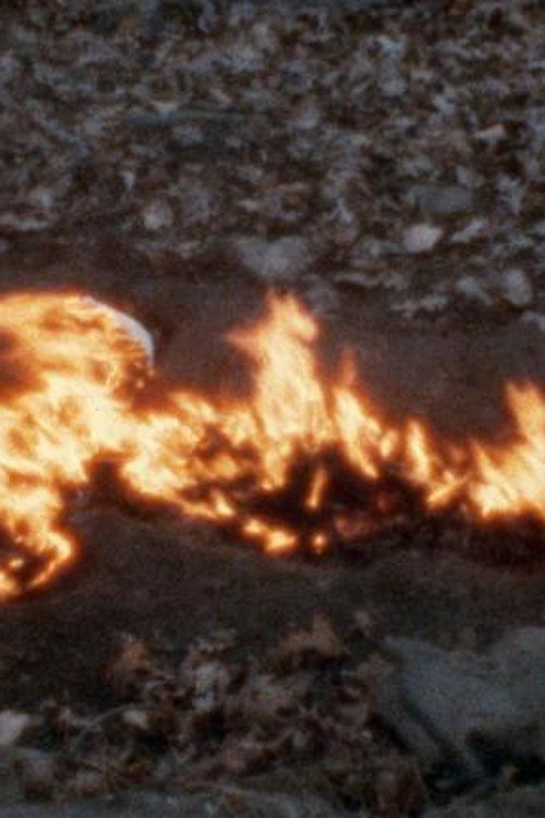 Alma, Silueta en Fuego Poster