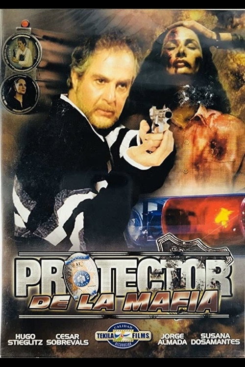 El protector de la mafia Poster