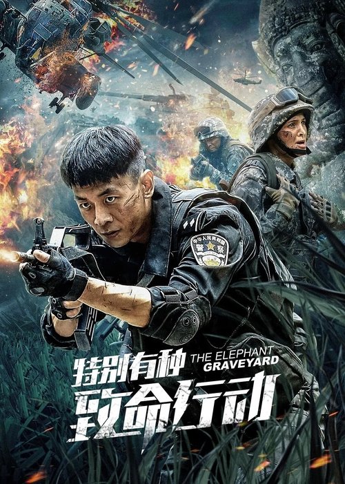 The Elephant: Graveyard Poster