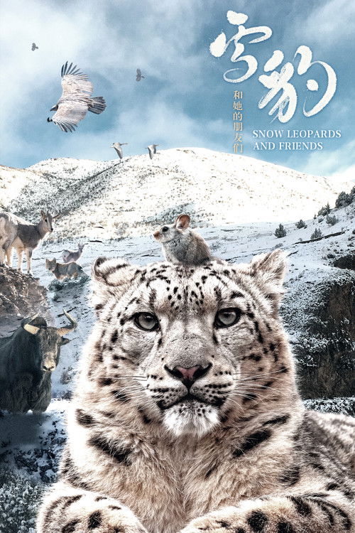 Snow Leopards and Friends Poster