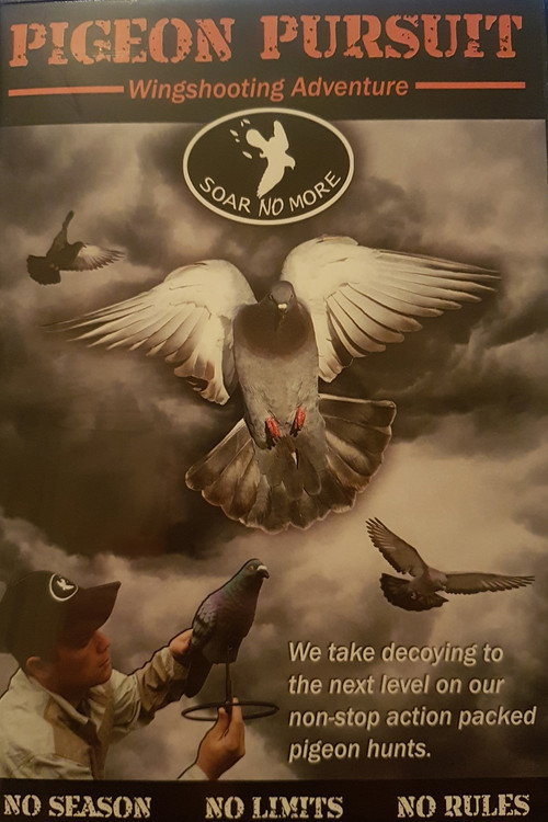 Pigeon Pursuit Poster