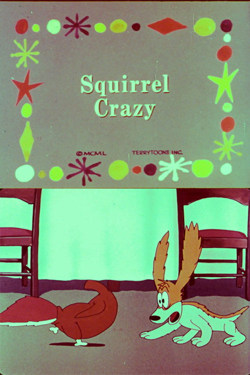 Squirrel Crazy Poster