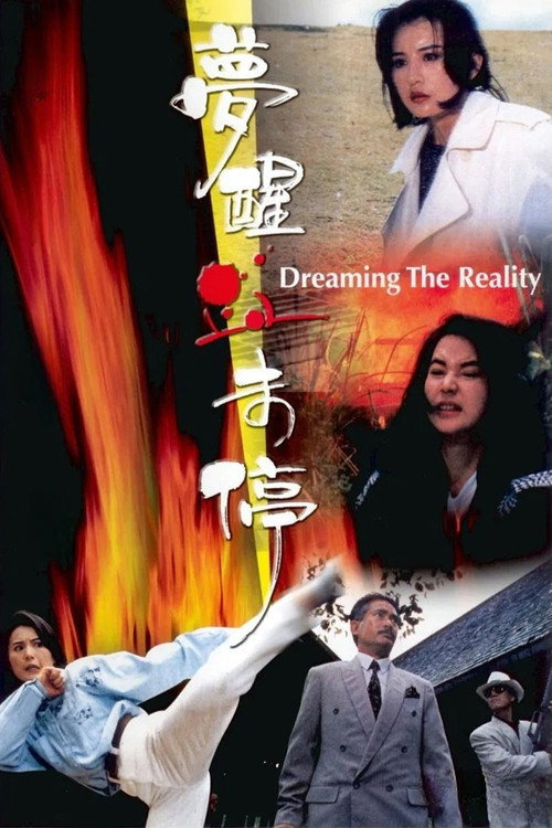 Dreaming the Reality Poster