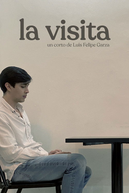 La Visita Poster