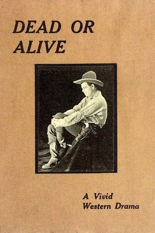 Dead or Alive Poster