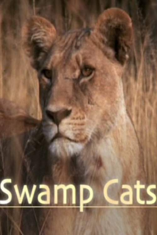 Swamp Cats Poster