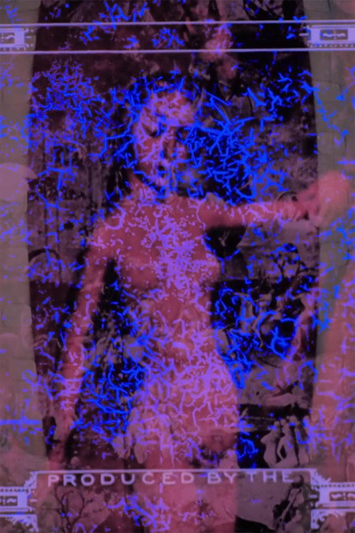 Motion Picture Poster