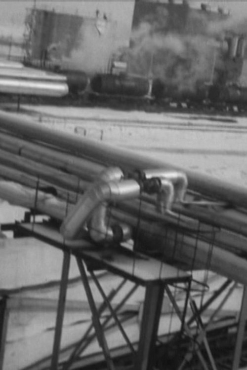 Light Up Your Sun Poster