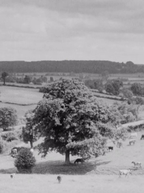 The Chiltern Country Poster