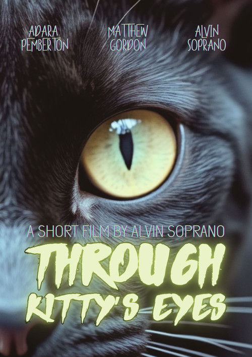 Through Kitty’s Eyes Poster