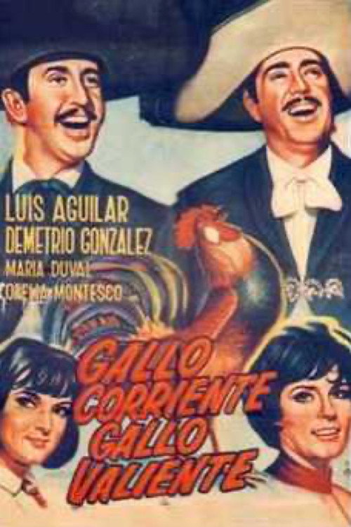 Gallo corriente, gallo valiente Poster