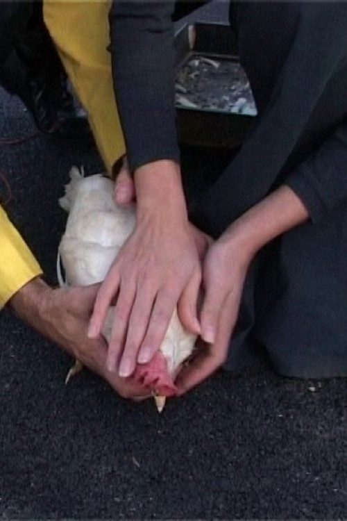 La fortuna verrà da te (Spectrum #2) Poster