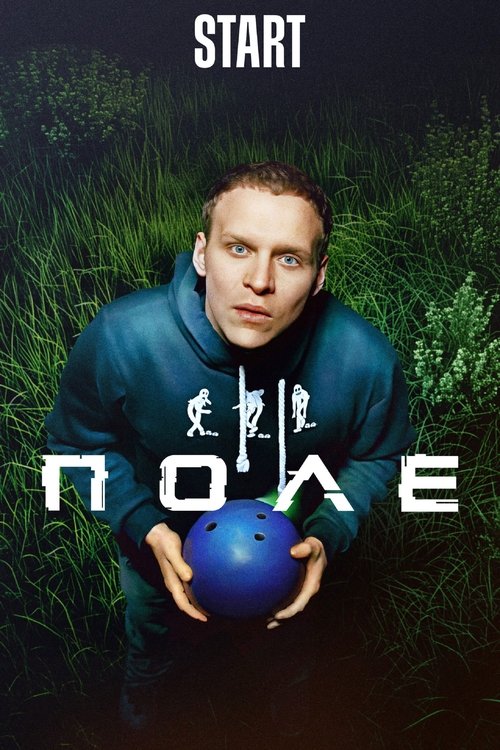 Поле Poster