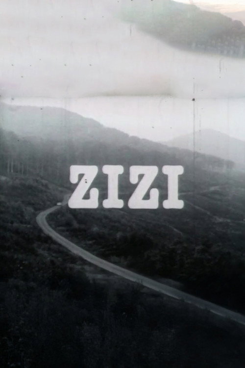 Zizi Poster