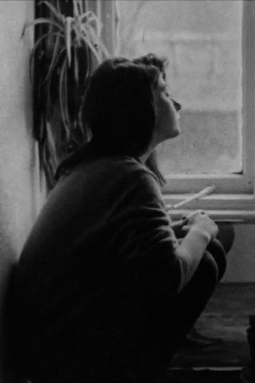 Looking for the Moon Poster