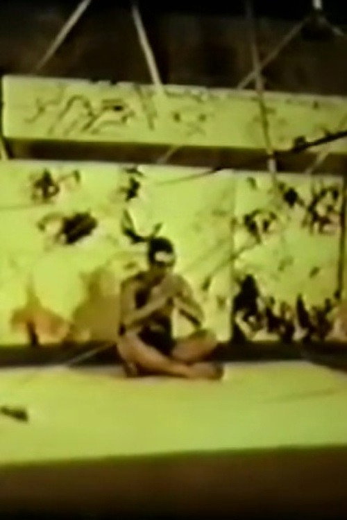 The Girl and Buda Poster