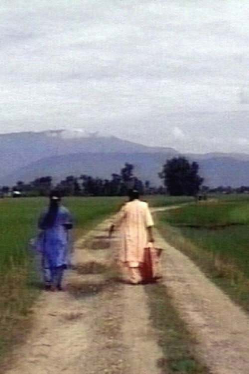 A Little Bit of Freedom Poster