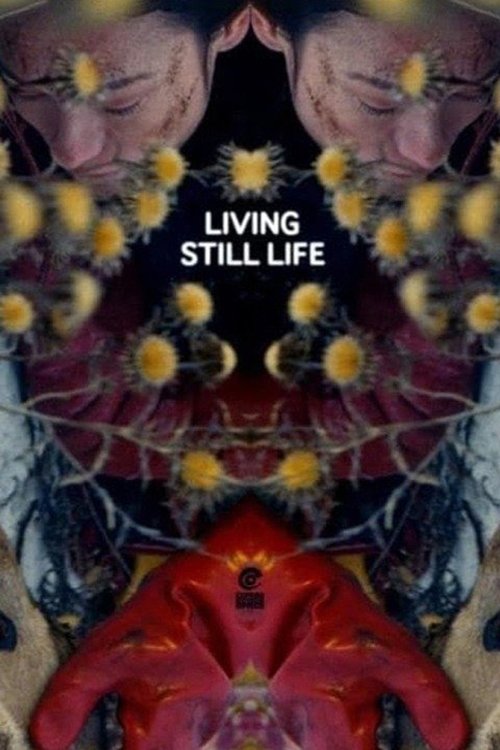 Living Still Life Poster