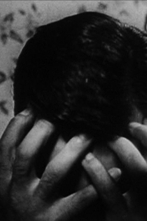 In Light, In! Poster