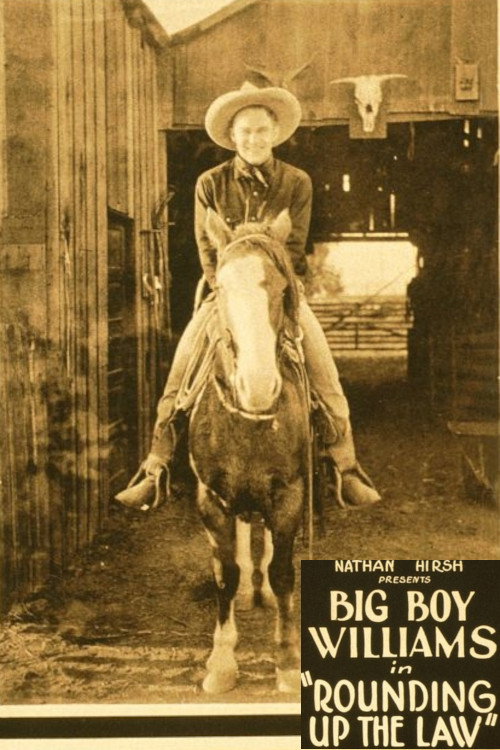 Rounding Up the Law Poster