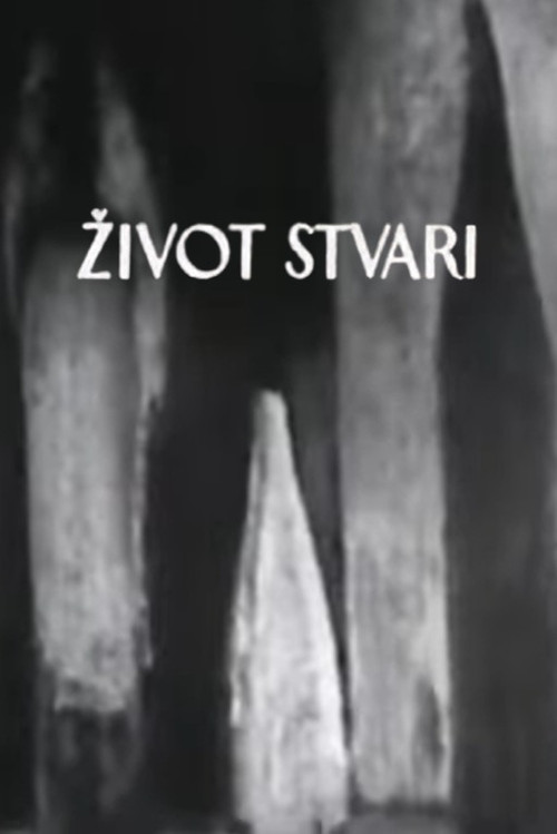 Life of Things Poster