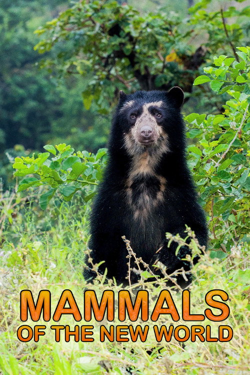 Mammals of the New World Poster