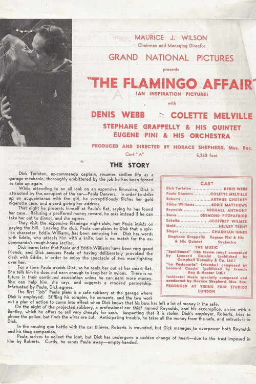 The Flamingo Affair Poster