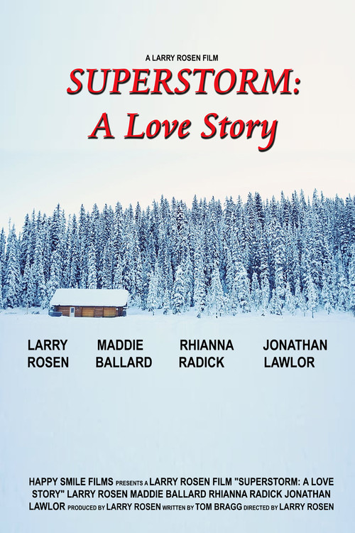 Superstorm: A Love Story Poster