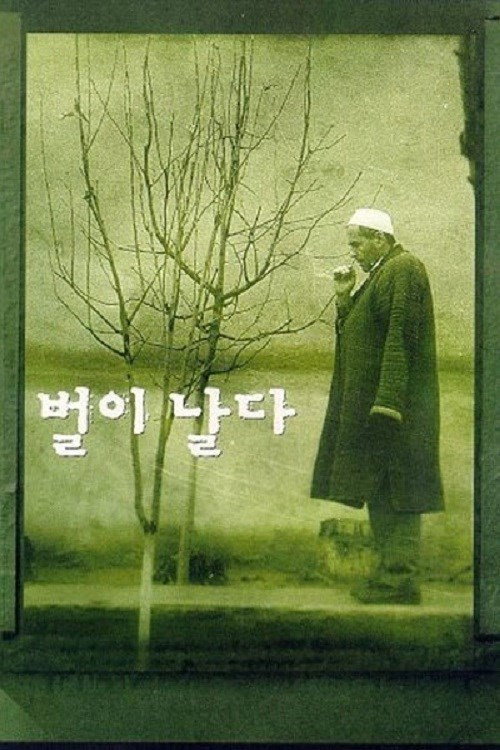 The Flight of the Bee Poster