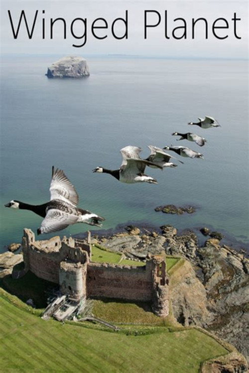 Winged Planet Poster