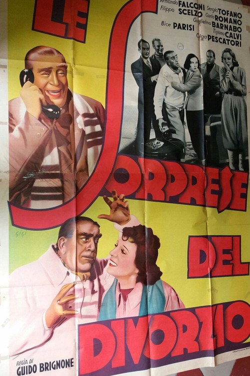 Le sorprese del divorzio Poster