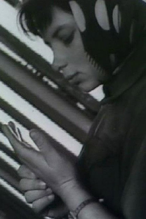 Tere, tüdrukud! Poster