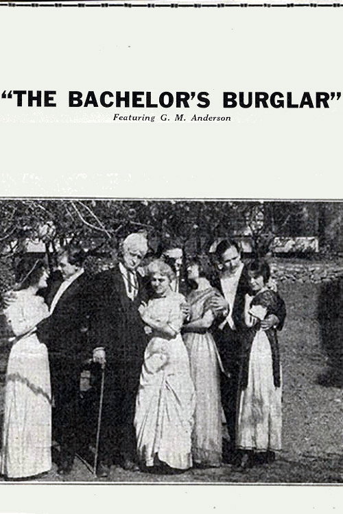 The Bachelor's Burglar Poster