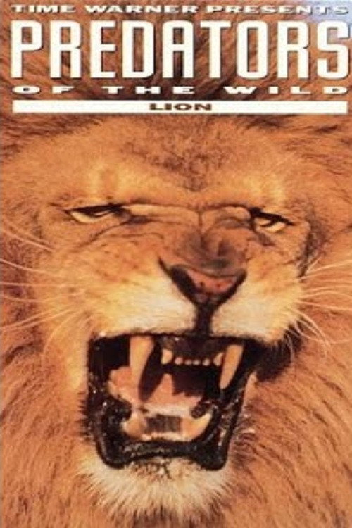Predators of the Wild: Lion Poster