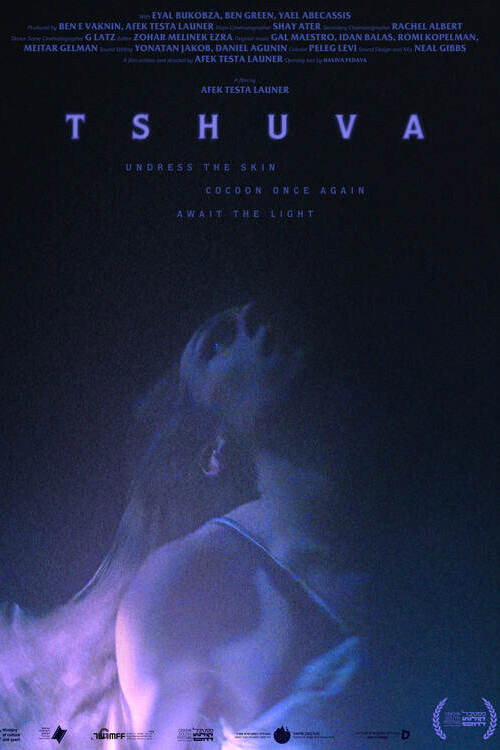 Tshuva Poster