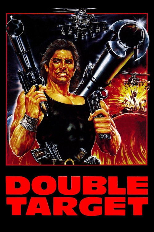 Double Target Poster