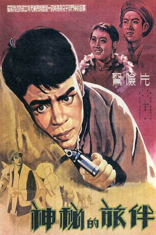 Mysterious Travelling Companion Poster