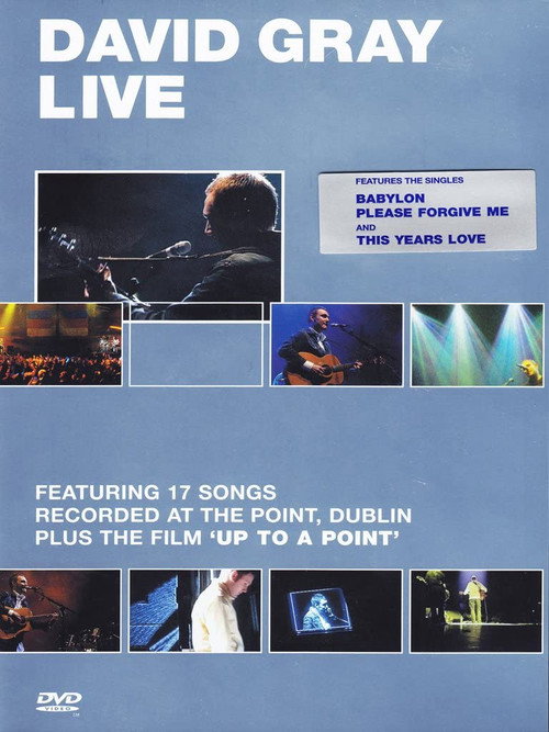 David Gray - Live Poster