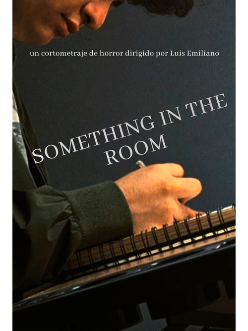 Something In The Room Poster