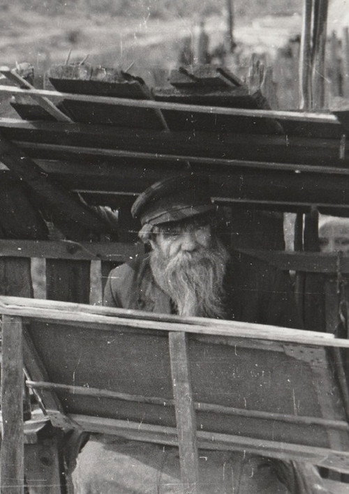 Ivan Selivanov Poster