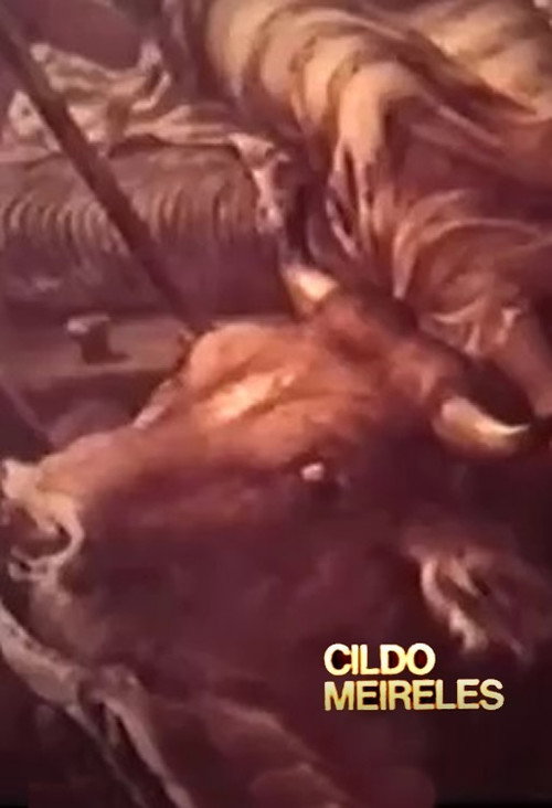 Cildo Meireles Poster