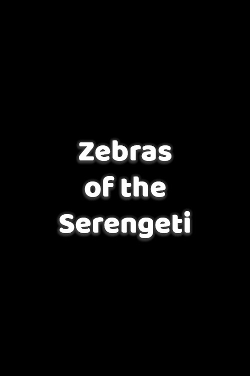 Zebras of the Serengeti Poster