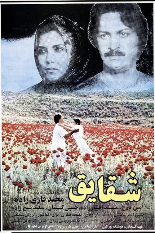 Shaghayegh Poster