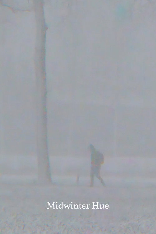 Midwinter Hue Poster