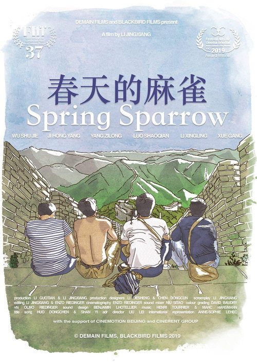 Spring Sparrow Poster