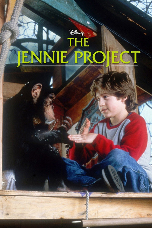 The Jennie Project Poster