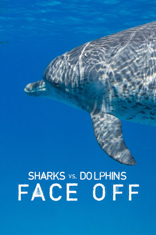 Sharks Vs. Dolphins: Face Off Poster