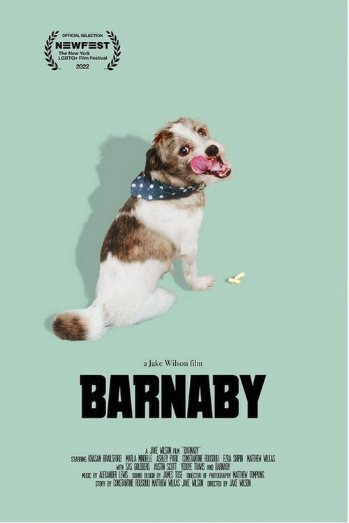 Barnaby Poster