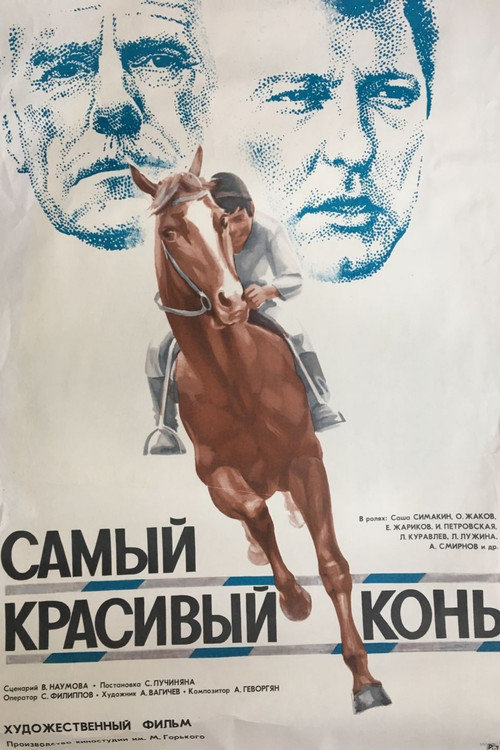 The Most Beautiful Horse Poster